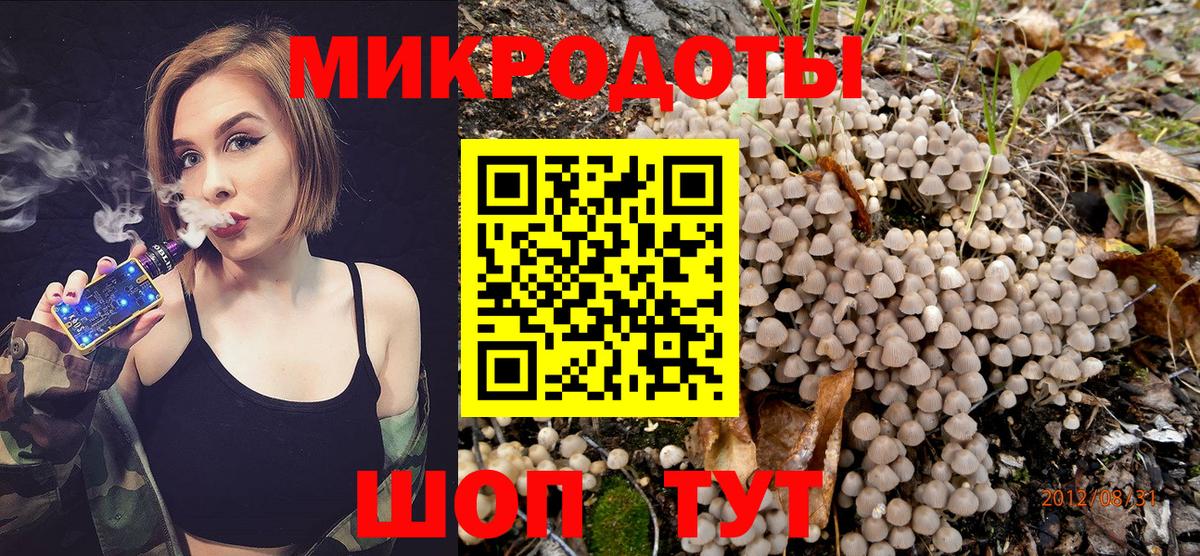 Галлюциногенные грибы ЛСД Грозный