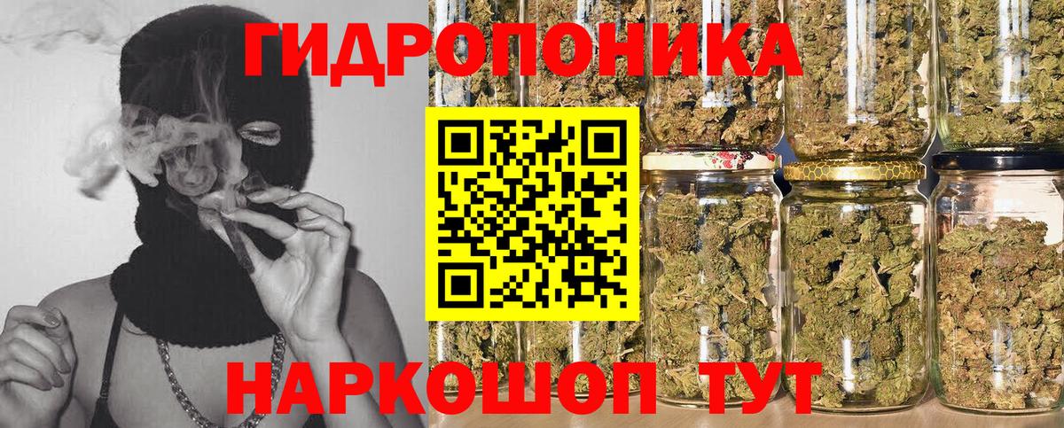 Грозный  Канабис индика  Вход с VPN  Бошки марихуана конопля 