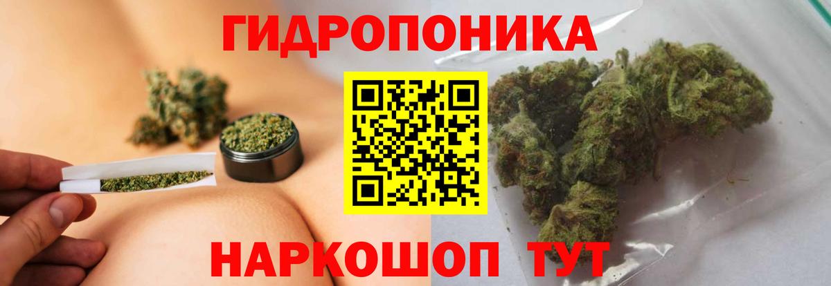 Марихуана Bruce Banner Грозный